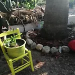 Dionisia